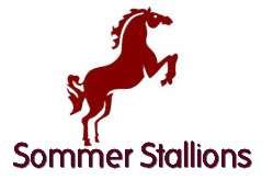 Sommer Stallions